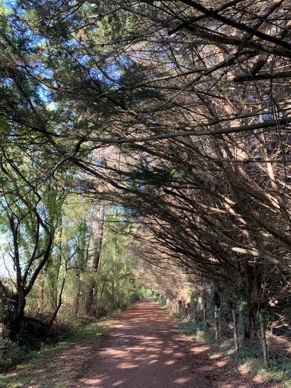 Camping La Ferme de Lann Hoëdic *** — Foto 3