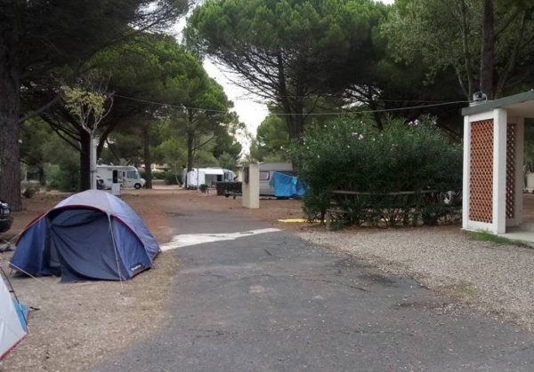 Camping Familial Les Mûriers — Photo 2