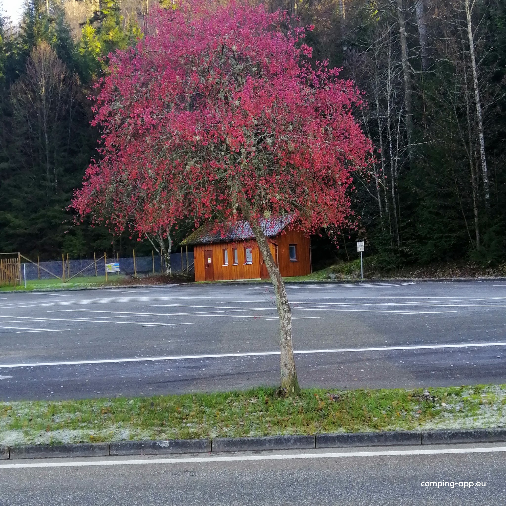 Stellplatz Nagoldtalsperre Seewald — Foto 3