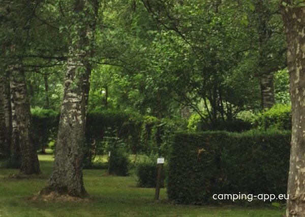Camping La Piscine ***** — Photo 4