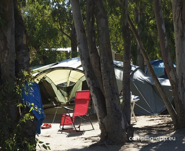 Camping International *** - Camping Calvi - Corse