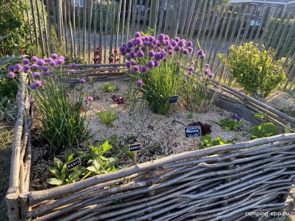 Camping Le Point du Jour **** — Photo 5