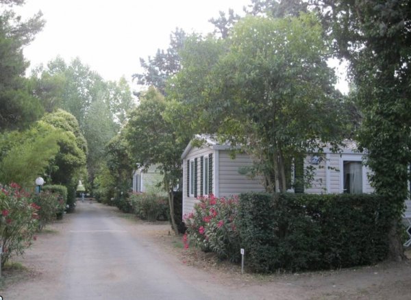 Camping Rebau — Photo 3