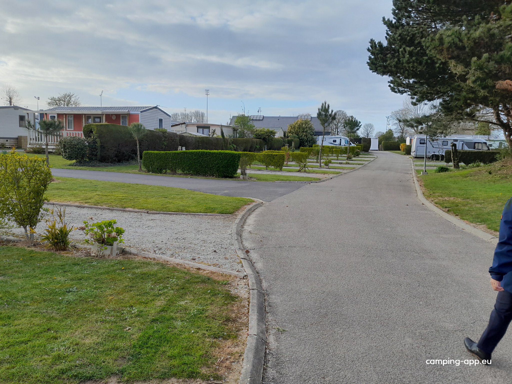 Camping Vitamin — Photo 3