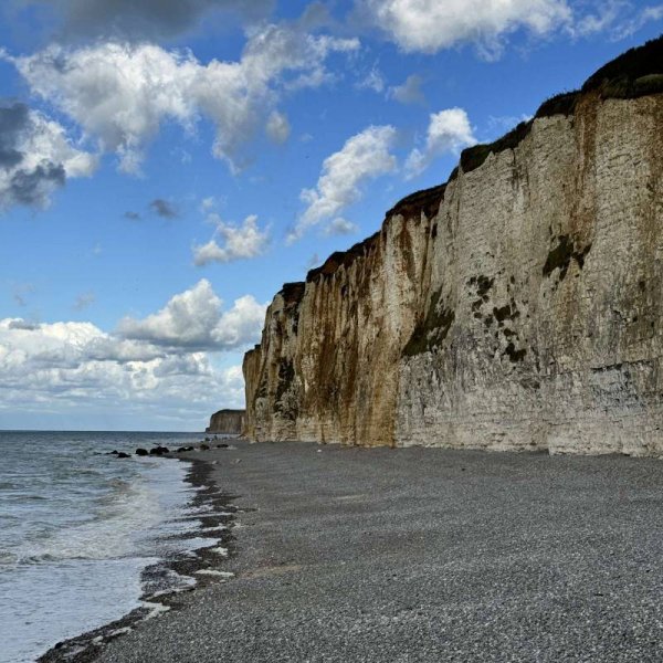 Les Mouettes — Photo 6