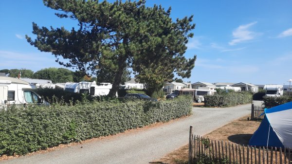 Les Mouettes — Photo 2