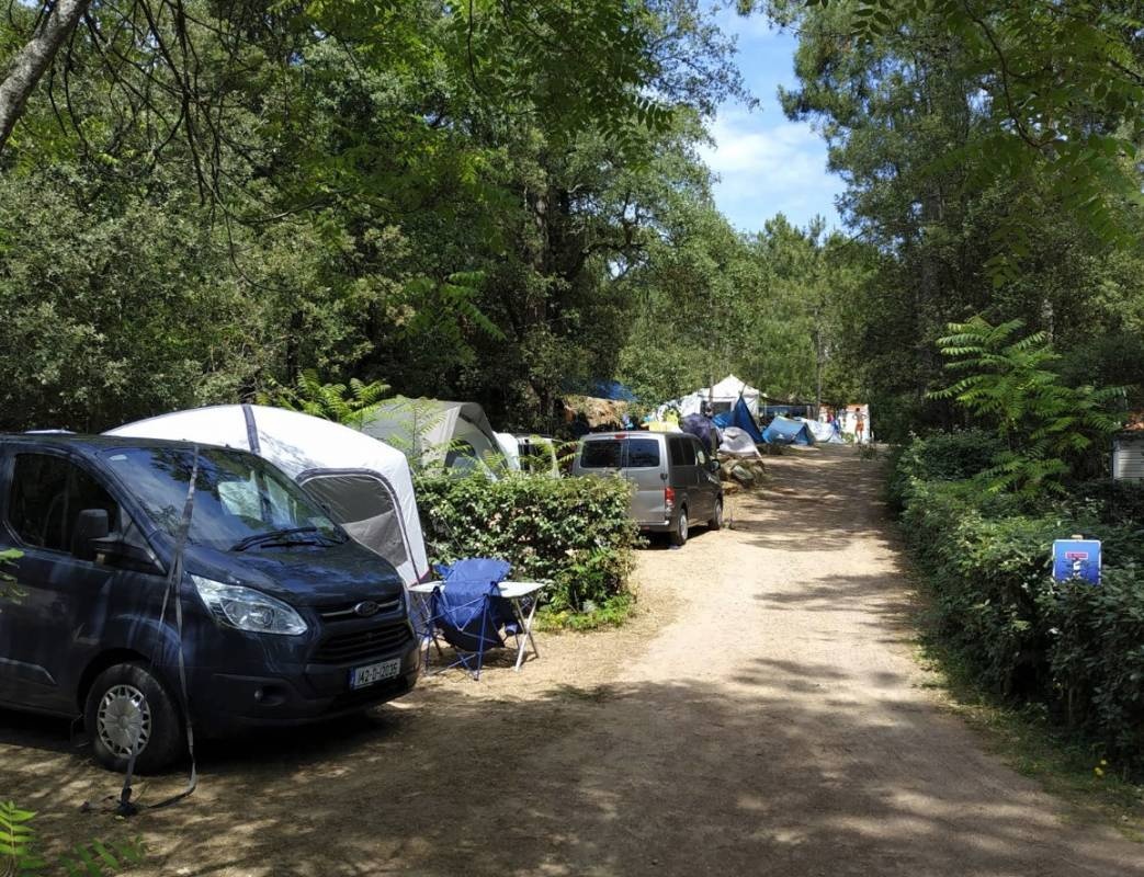 Camping le Clos des Pins **** — Kamp yeri in Longeville-sur-Mer / Pays de la Loire