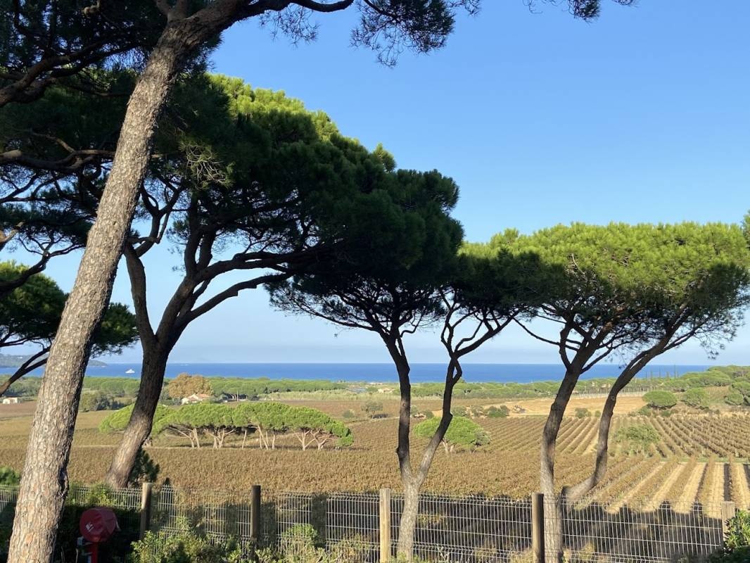 Yelloh village Camping Les Tournels 5* — Kamp yeri in Ramatuelle / Provence-Alpes-Côte d'Azur