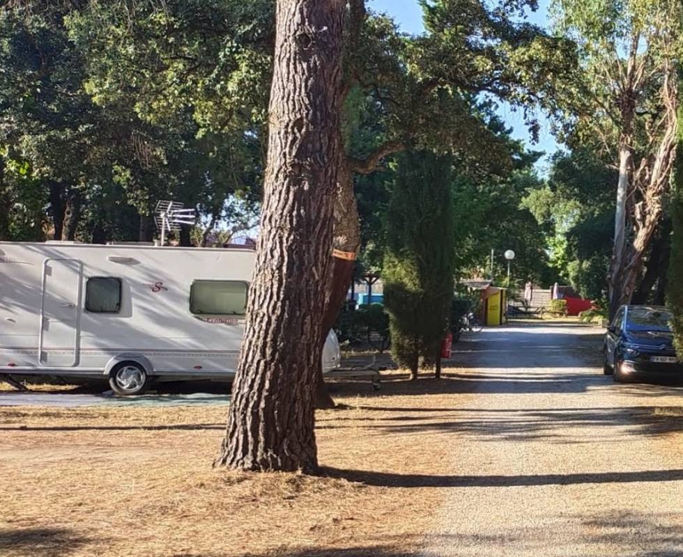 Fagamis l’Oasis *** — Camping in Saint-Génis-des-Fontaines