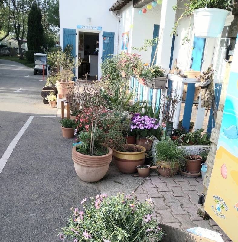 Camping Europe *** — Campingplats in Argelès-sur-Mer