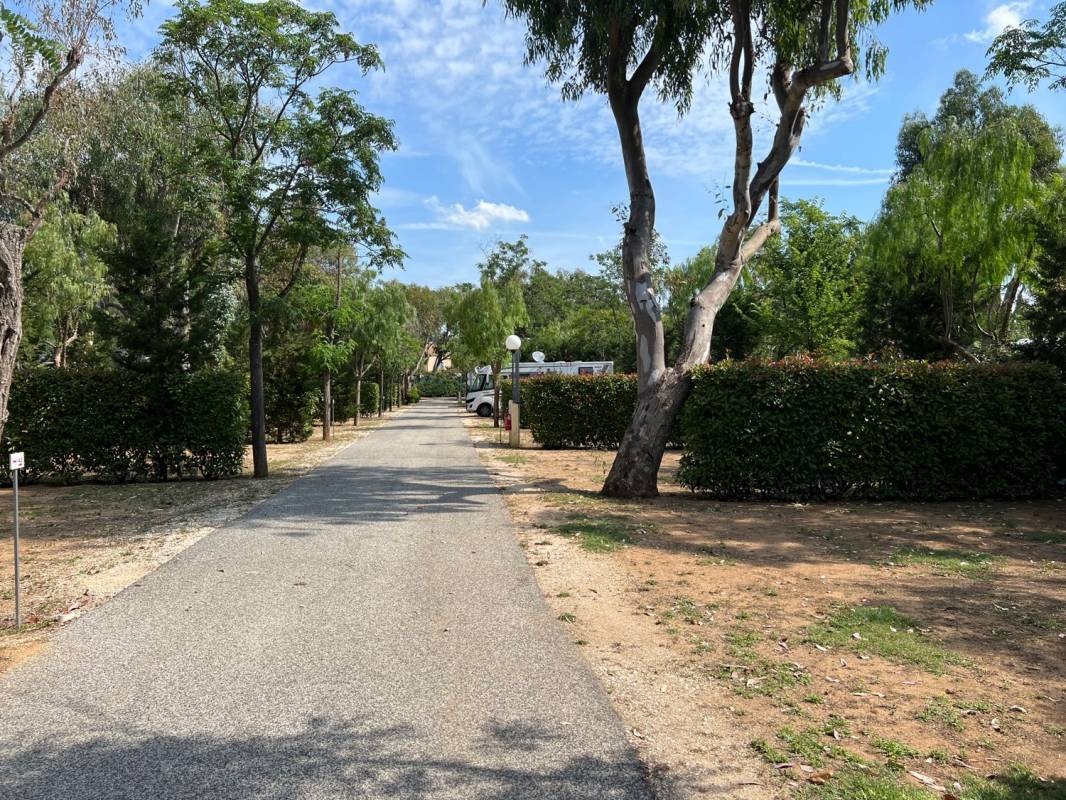 Camping La Brûlade — Kamp yeri in La Londe-les-Maures / Provence-Alpes-Côte d'Azur