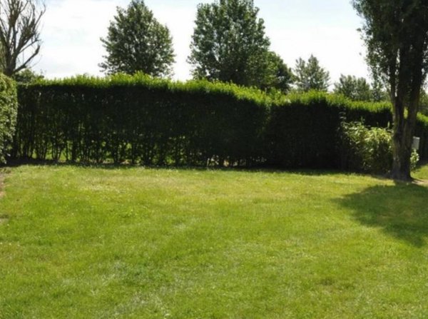 Camping La Motte **** — Photo 2