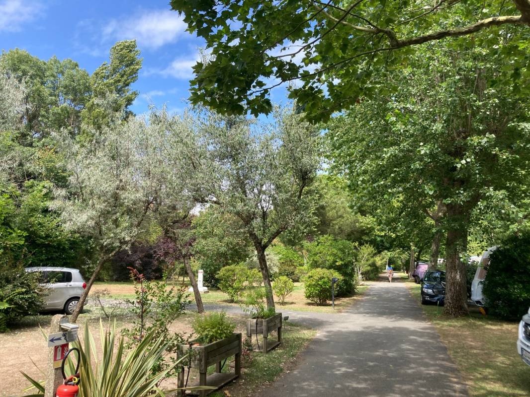 Camping Au Port Punay **** — Camping Site in Châtelaillon-Plage / Nouvelle-Aquitaine