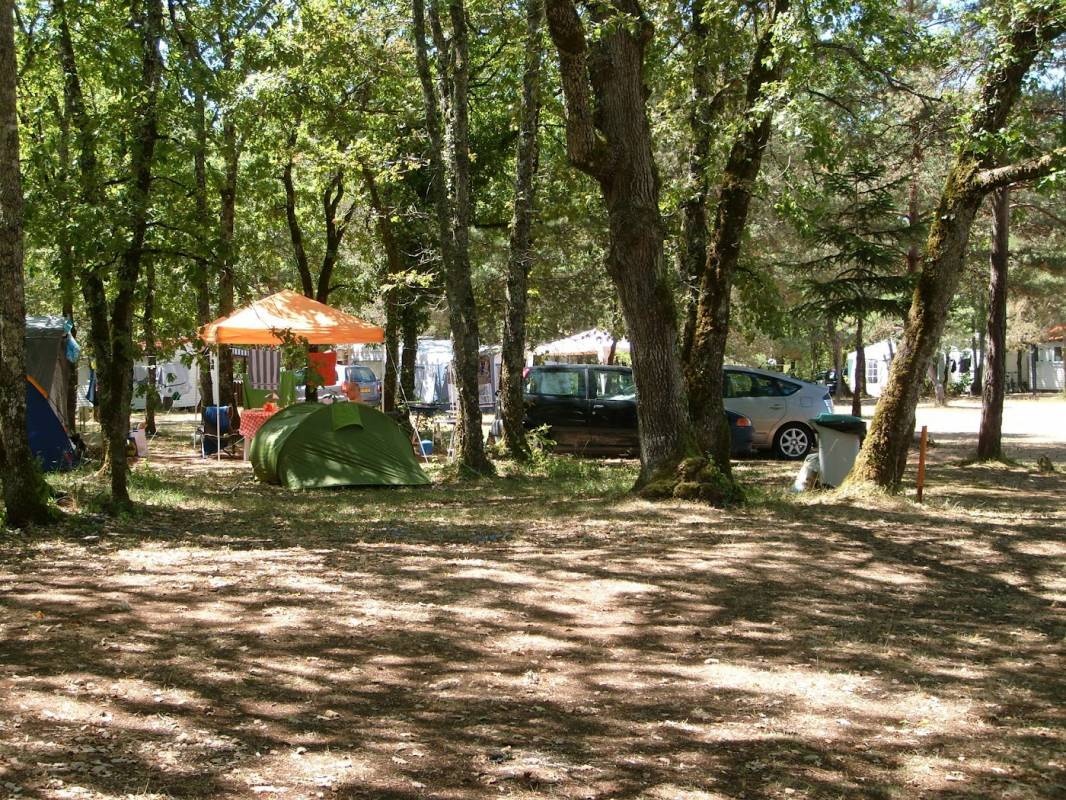 Camping La Forêt in Dordogne — Kemping in Pezuls / Pays de la Loire