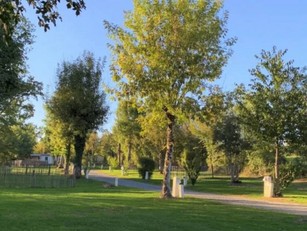 Camping Côté Lac — Photo 4