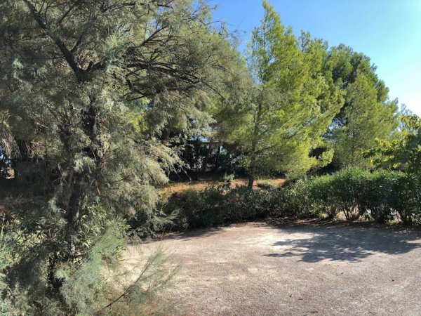 Camping La Grange Neuve ***