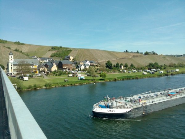 Stellplatz am Moselufer Kinheim — Photo 2