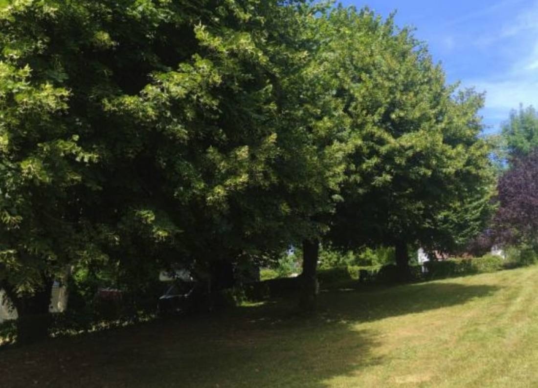 Camping Le Rys ** — Camping Site in Lugrin