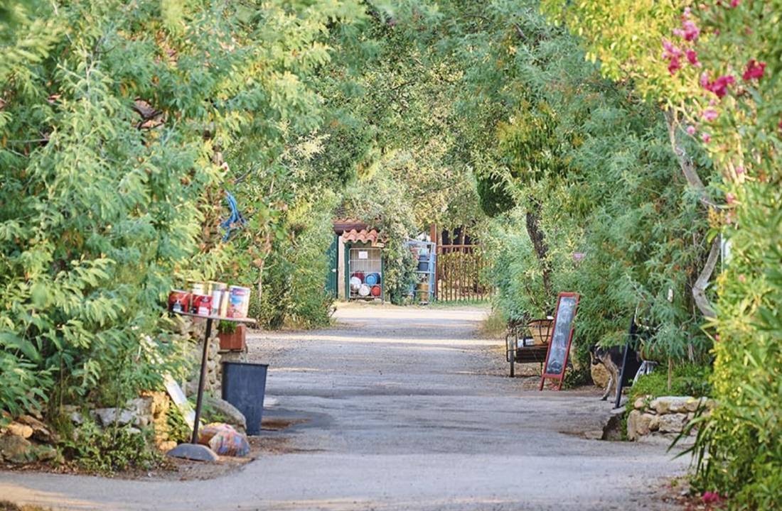 Camping Las Planes — Місце для кемпінгу in Laroque-des-Albères