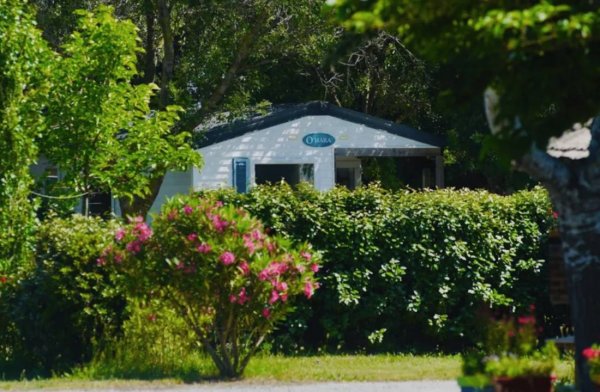 Camping Domaine de La Palme *** — Photo 4