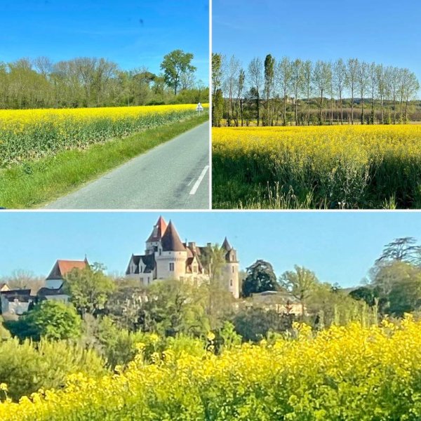 Camping Le Tiradou *** — Photo 3