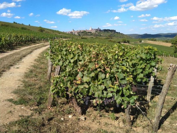 Route de l'Etang — Photo 2