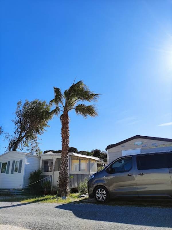 Camping Caravaning Les Pins Maritimes **** — Kamp yeri in Hyères