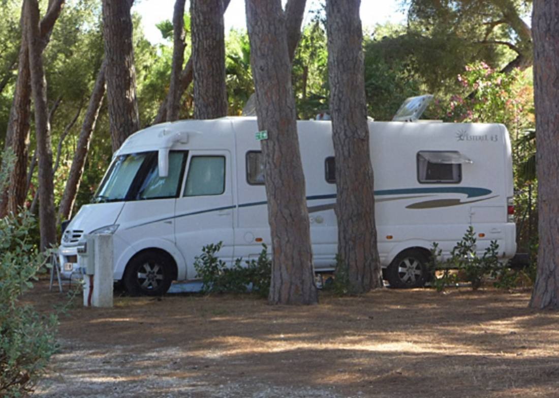 Camping Caravaning Les Pins Maritimes **** — Kamp yeri in Hyères