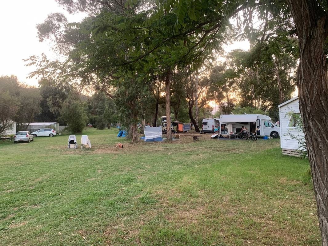 Camping Miami Plage — Camping Site in Poggio-Mezzana