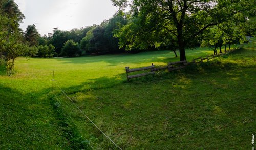 Camping Le Pech Charmant **** — Foto 5
