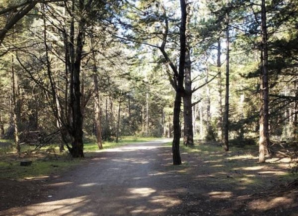 Camping Le Pont d'Yeu — Photo 2