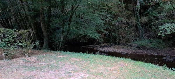 Camping Le Pre du Moulin — Photo 5