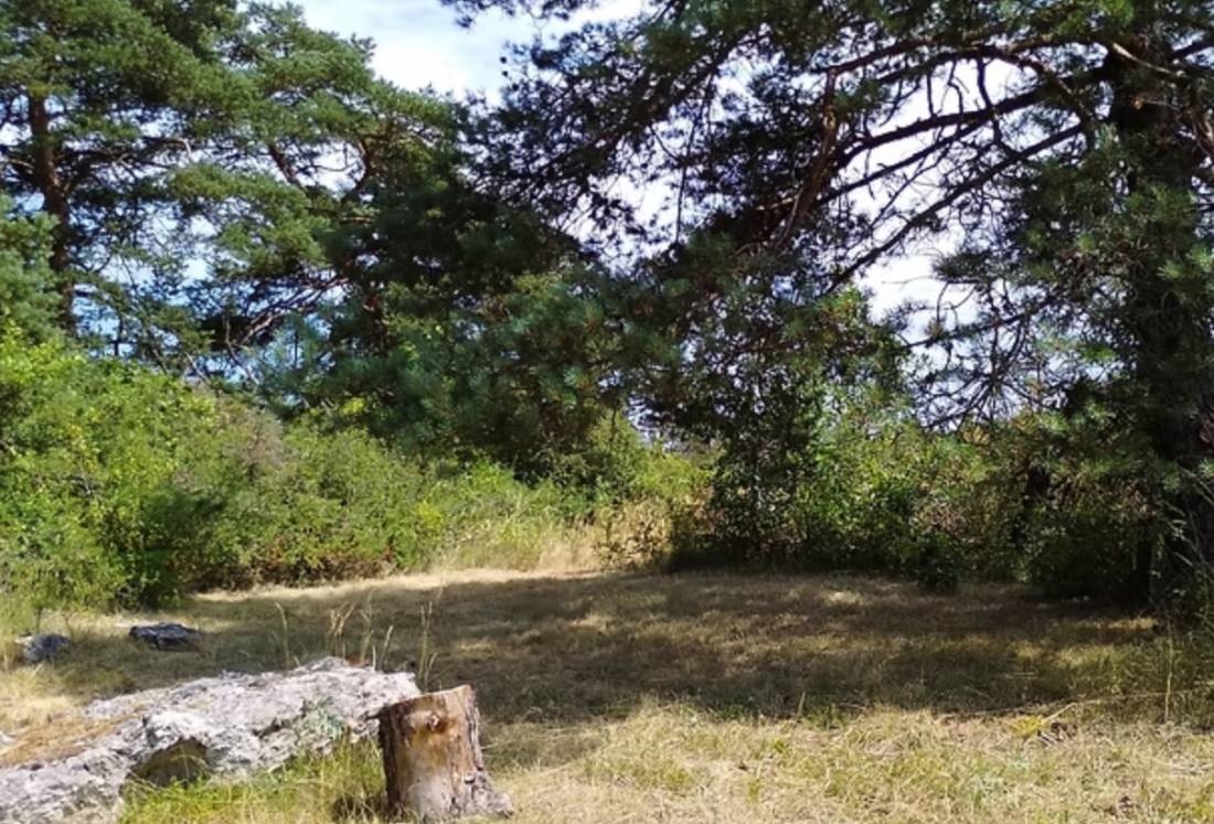 Eco-Camping du Larzac — Area da campeggio in Millau 