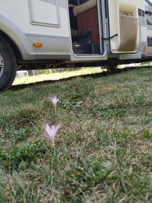 Camping Le Gravelotte ** — Camping in La Grave