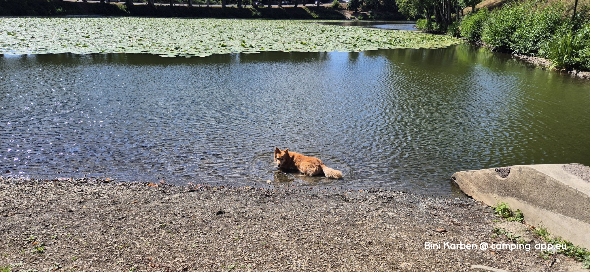 Camping Le Lac des Charmilles *** — Foto 4