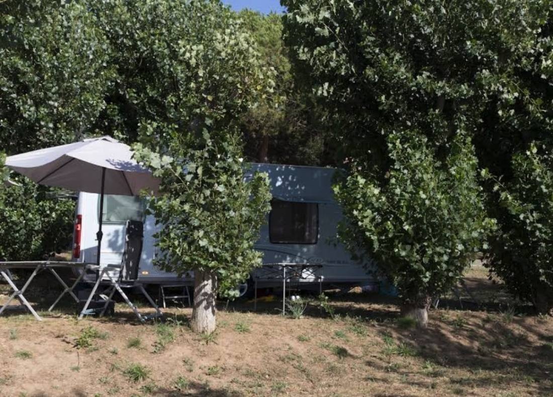 Camping Les Couchants — Camping Site in Casaglione