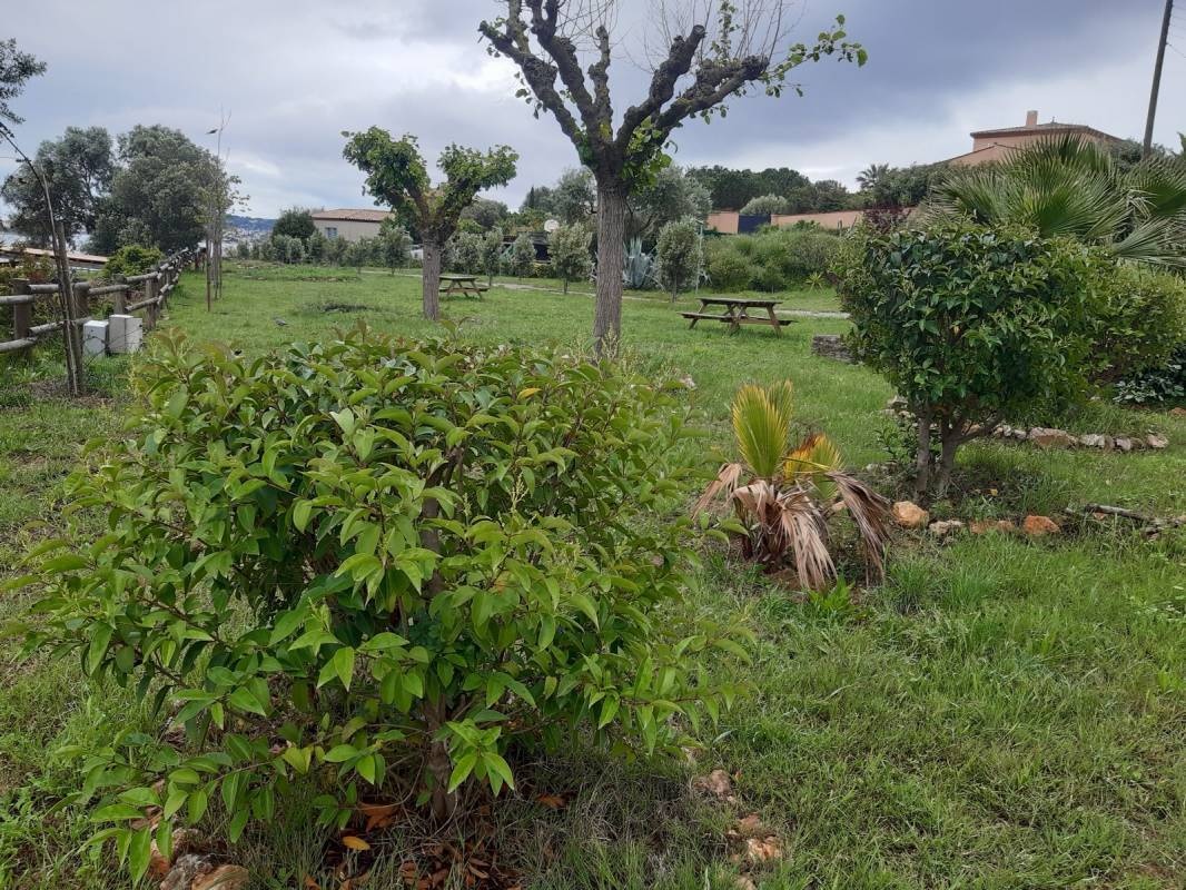 Camping Lou Labech *** — Camping in Bouzigues / Occitanie