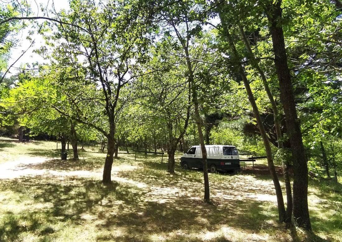 Camping Les Sauterelles — Kamp yeri in Fillols