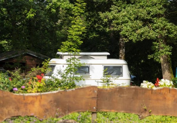 Camping Les Monts d’Albi *** — Photo 2