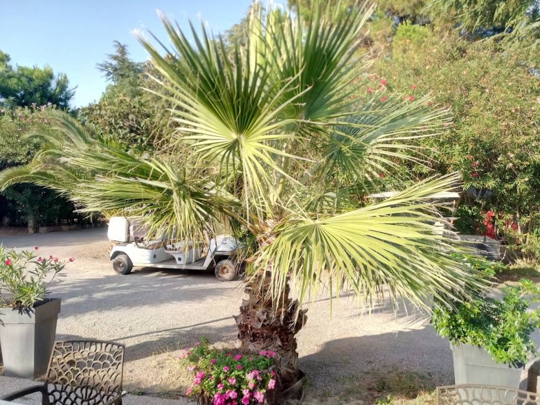 Camping Sud Loisirs **** — Kemp in Agde