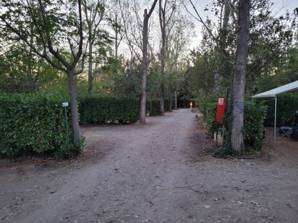 Camping Saint Christol — Photo 6