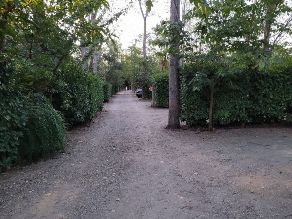 Camping Saint Christol — Photo 2