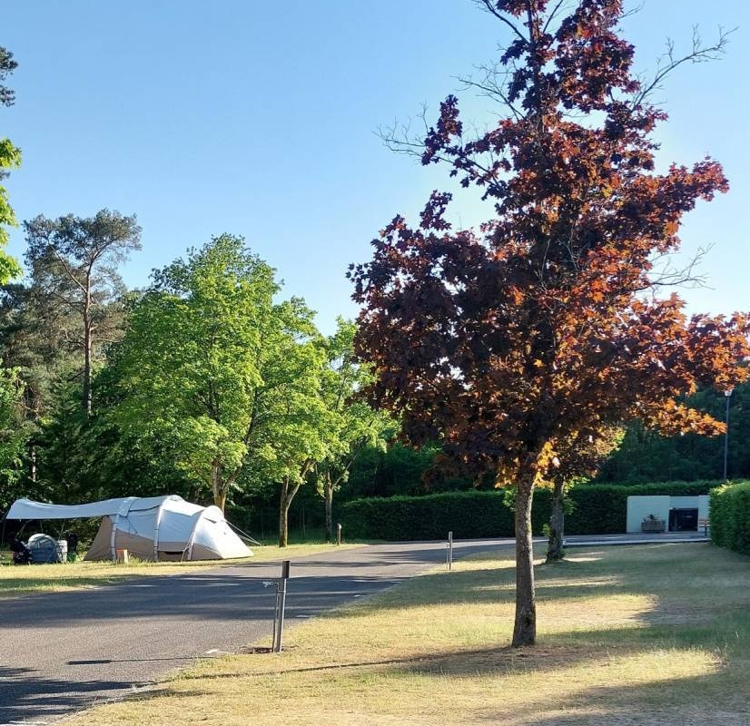 Camping Les Pins — Kemp in Haguenau / Grand Est