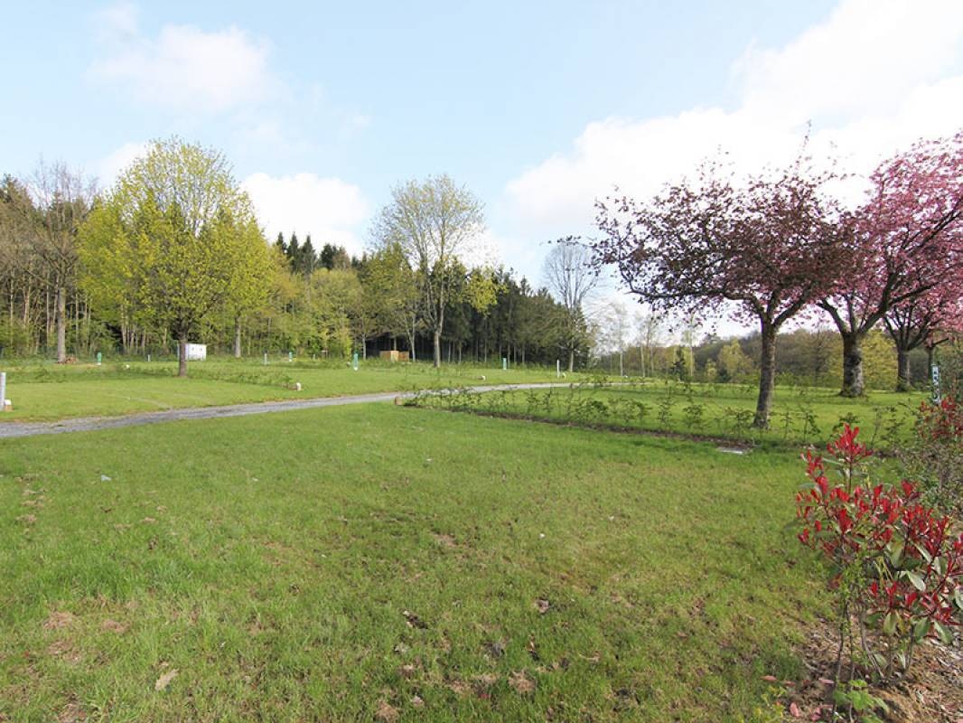 Domaine de Blangy — Camping in Hirson / Hauts-de-France