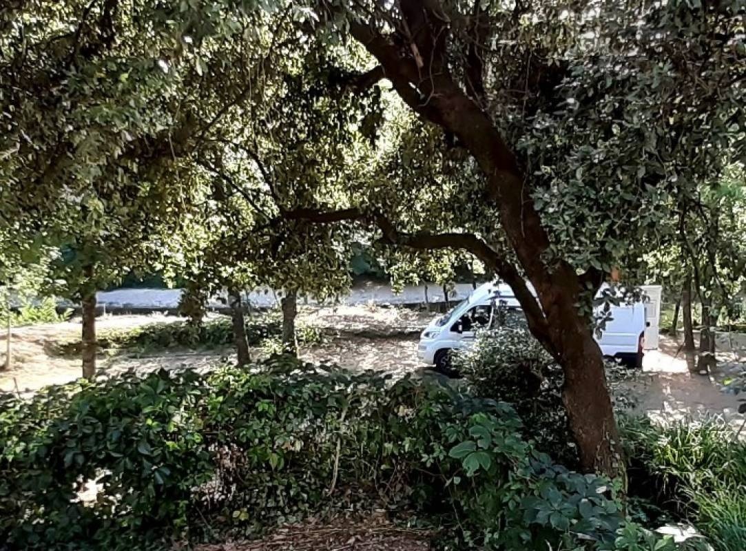 Camping La Chataigneraie — Kemp in Génolhac / Occitanie