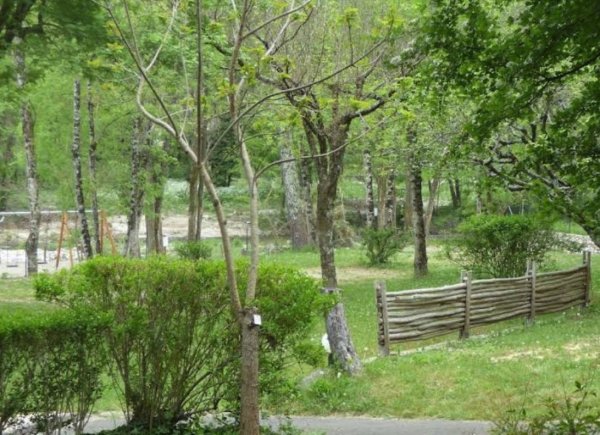 Camping La Chataigneraie — Photo 2