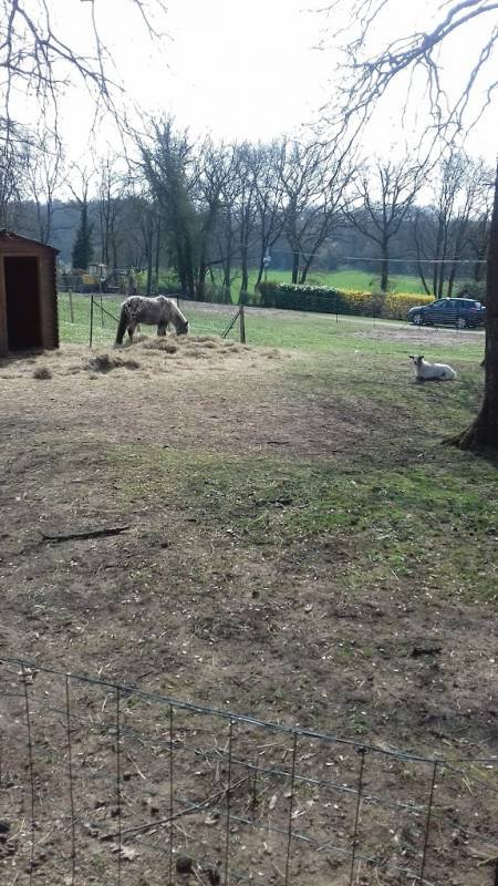 Park La Chesnaie — Photo 2