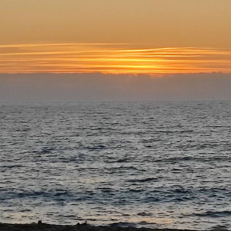 Camping de la Plage — Camping Site in Aregno