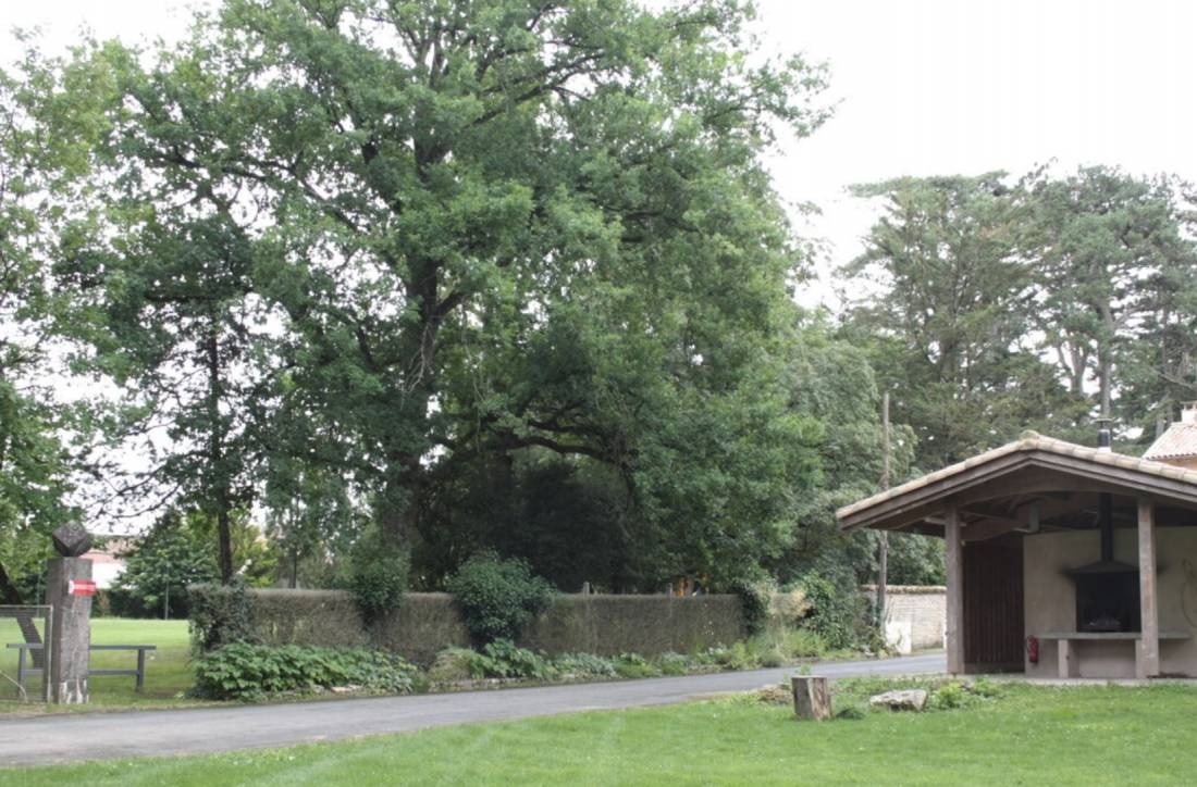Camping Municipal Le Parc — Cámping in Lezay