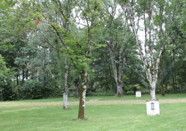 Camping Municipal Le Parc — Photo 2